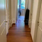 Rent 4 bedroom apartment of 100 m² in Pisa