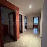 Rent 5 bedroom apartment of 150 m² in Frosinone