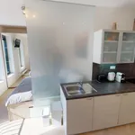 Rent 1 bedroom apartment of 26 m² in Prague