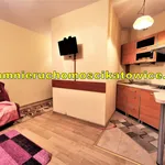 Rent 1 bedroom apartment of 22 m² in Katowice