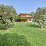 Rent 7 bedroom house of 550 m² in Padenghe sul Garda