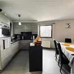 Rent 2 bedroom apartment in Sint-Gillis-Waas