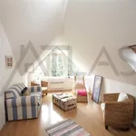 Rent 6 bedroom house of 300 m² in Prague