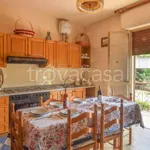 Rent 4 bedroom house of 120 m² in Ciminà