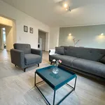 Rent 2 bedroom apartment of 60 m² in Dortmund