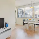 Rent 1 bedroom apartment of 55 m² in Porto