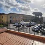 Rent 2 bedroom apartment of 65 m² in Pomezia