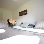 Rent 3 bedroom apartment of 12 m² in Hürth