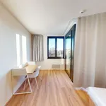 Rent 3 bedroom apartment in Prague