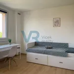 Pronájem bytu 1+kk 30m²