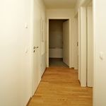 Miete 3 Schlafzimmer wohnung von 74 m² in Dresden