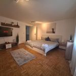 Rent 1 bedroom apartment of 484 m² in Kaiserslautern