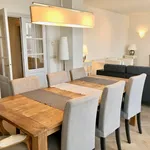 Rent 2 bedroom apartment of 130 m² in Den Haag