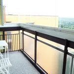 Rent 1 bedroom apartment in Brno