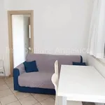 Rent 2 bedroom apartment of 40 m² in Borghetto Santo Spirito