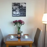 Rent 1 bedroom apartment of 41 m² in Prague