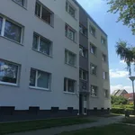 Rent 4 bedroom apartment of 90 m² in Dortmund