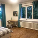 Rent 3 bedroom apartment of 85 m² in Wallisellen