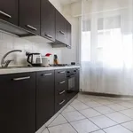 Rent 1 bedroom apartment in Bologna