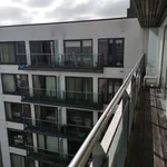 Rent a room of 70 m² in dublin