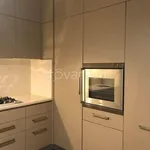 Rent 3 bedroom apartment of 110 m² in Reggio nell'Emilia