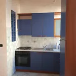 Rent 1 bedroom apartment in Turin