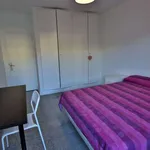 Rent a room in valencia