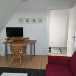 Rent 2 bedroom apartment of 46 m² in Burscheid