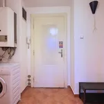 Rent 2 bedroom apartment of 64 m² in Prague