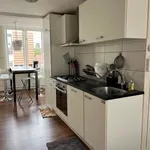 Huur 1 slaapkamer appartement van 55 m² in Leiden