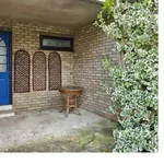 Rent 3 bedroom flat in East Of England