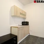 Rent 1 bedroom apartment in Brno