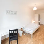 Rent 5 bedroom apartment in Munich