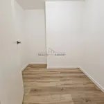 Rent 1 bedroom apartment in Brno