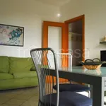 Rent 2 bedroom apartment of 55 m² in Gallipoli