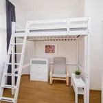 Rent a room in prague