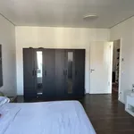 Rent 2 bedroom apartment of 92 m² in berlin