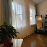 Rent 3 bedroom apartment in Midwood