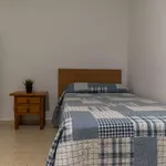 Rent 1 bedroom apartment in granada