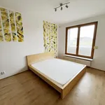 Pronajměte si 2 ložnic/e byt o rozloze 58 m² v Prague