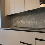 Rent 2 bedroom apartment of 55 m² in Torino