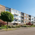 Zonnestein, Amstelveen - Amsterdam Apartments for Rent