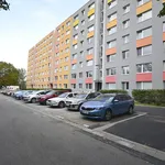 Rent 2 bedroom apartment of 40 m² in Brno