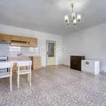 Rent 1 bedroom apartment in Pilsen