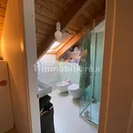 Rent 2 bedroom apartment of 60 m² in Piacenza