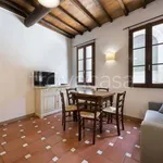 Rent 3 bedroom apartment of 60 m² in Firenze