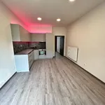 Rent 4 bedroom apartment in Třebíč