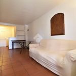 Rent 3 bedroom apartment of 70 m² in Florence