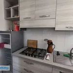 Affitto 3 camera appartamento di 76 m² in Bologna