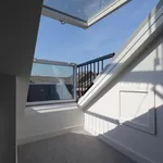 Rent 3 bedroom house in Winchester